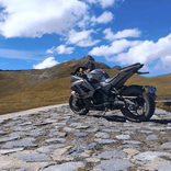 muguiwara151 avatar