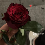 nawress_no avatar