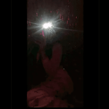 naybee272