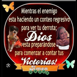 nena143916 avatar