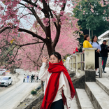 nguyenthu00877