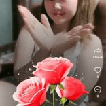 nice-fox-125607