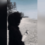 nshee_2310