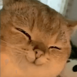 ntmint_