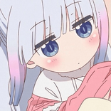 nyanboku_ avatar