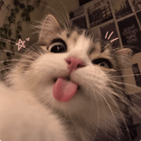 ohitzbunnniii avatar