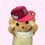 pam_w45