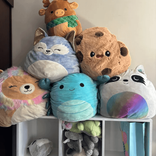 peluches.oruro avatar