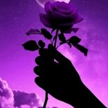 prety_tnm avatar
