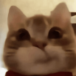 pspspspspspspsmeow
