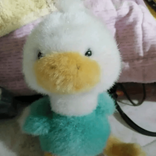 qq22637