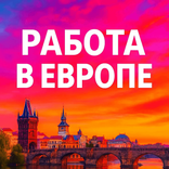 rabbota25 avatar
