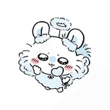rima_sfg