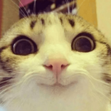 rrrrrrrrrrrrrrrrrli