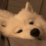 ruji_19