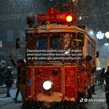 s.eli3295