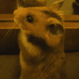 secret.kiwi.ii