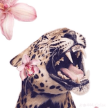simplykelcie avatar