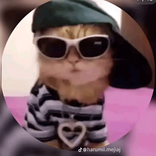 sofiajdjeie1