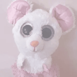 sugrpets