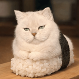 sushikucenn