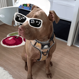 sweetbella avatar