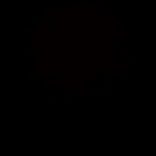 swett_04