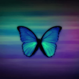 tayandkay444