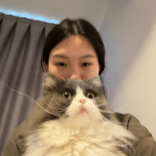 thea_ing6 avatar