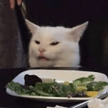 tjnv avatar