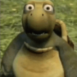 turtlgd