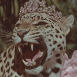 unbecomingwithnadia avatar