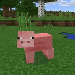 user475319036584 avatar