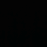 username453638.s