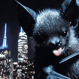 whismywitchybatties avatar