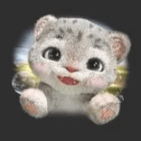 xjyaueekf1 avatar