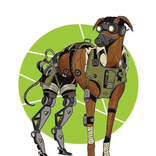 yobarks avatar