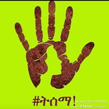 yor_dina_ avatar