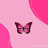 ysly065
