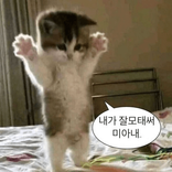 yunhee avatar