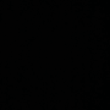 zehrasqql