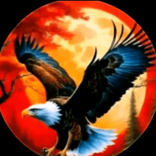 zeinab avatar